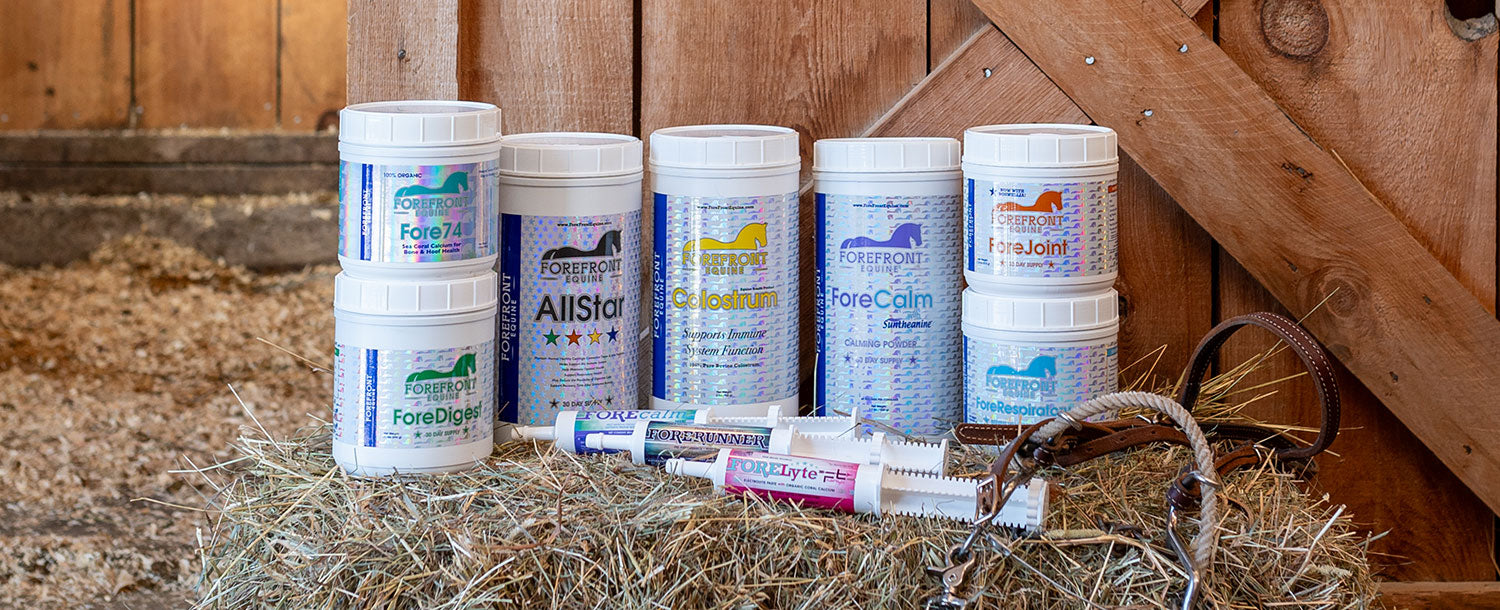 ForeFront Equine supplements offers premium horse health solutions crafted for optimal performance and wellbeing by experienced equestrian experts.