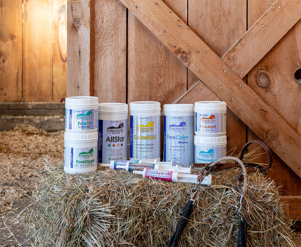The complete ForeFront Equine Supplements product line arranged in a stable setting demonstrates the comprehensive range of specialized nutrition solutions including digestive support, joint care, calming formulas, and performance enhancers created by equestrians for optimal horse health and competitive advantage.