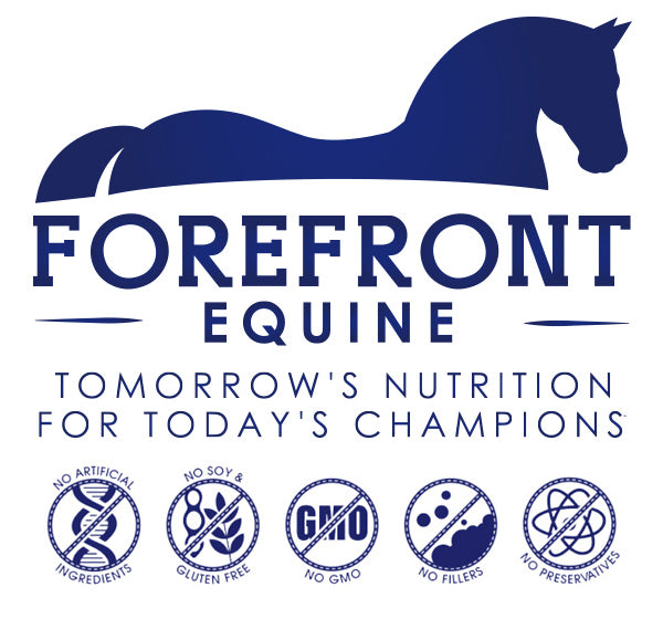 ForeJoint – Forefront Equine